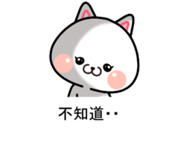 CAT... sticker #11539116