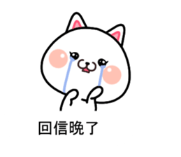 CAT... sticker #11539124