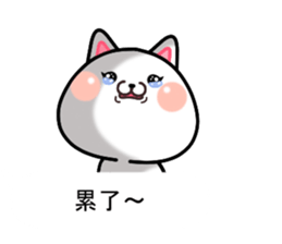 CAT... sticker #11539126