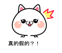 CAT... sticker #11539133