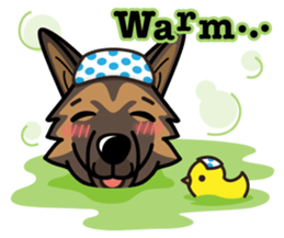 iinu - Belgian Shepherd Dog - Tervuren sticker #11539892