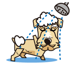 iinu - Lakeland Terrier sticker #11539992