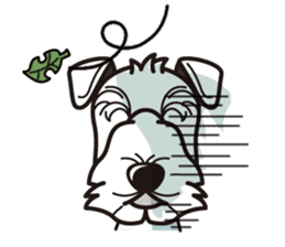 iinu - Lakeland Terrier sticker #11540002