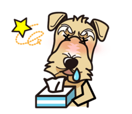 iinu - Lakeland Terrier sticker #11540011