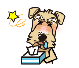 iinu - Lakeland Terrier sticker #11540011