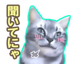 Kidoairaku cats sticker #11540456