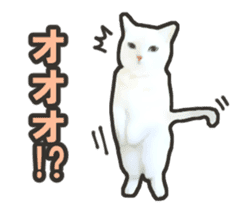 Kidoairaku cats sticker #11540460