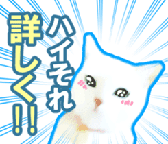 Kidoairaku cats sticker #11540462
