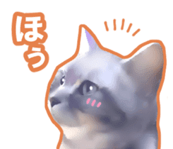 Kidoairaku cats sticker #11540463