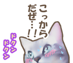 Kidoairaku cats sticker #11540464