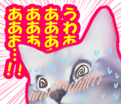 Kidoairaku cats sticker #11540465