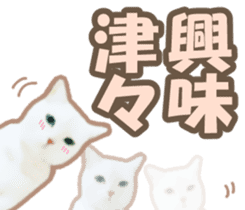 Kidoairaku cats sticker #11540466
