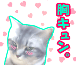 Kidoairaku cats sticker #11540467