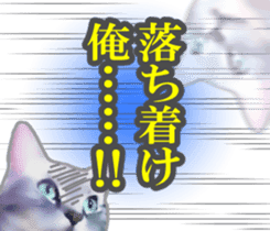 Kidoairaku cats sticker #11540472