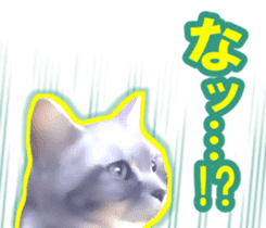Kidoairaku cats sticker #11540474