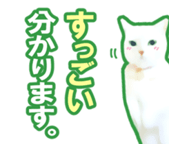 Kidoairaku cats sticker #11540480