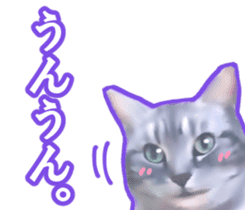 Kidoairaku cats sticker #11540483
