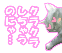 Kidoairaku cats sticker #11540487