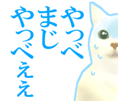Kidoairaku cats sticker #11540488
