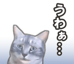 Kidoairaku cats sticker #11540489