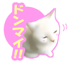 Kidoairaku cats sticker #11540490