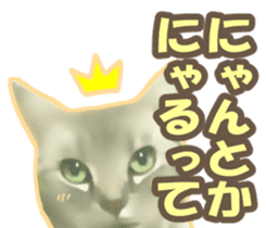 Kidoairaku cats sticker #11540491