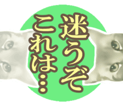 Kidoairaku cats sticker #11540492