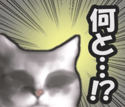 Kidoairaku cats sticker #11540494