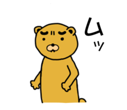 Eyebrow brown Bear sticker #11540791