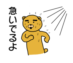 Eyebrow brown Bear sticker #11540805