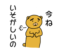 Eyebrow brown Bear sticker #11540812