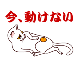 Shiratama- sticker #11542938