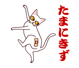 Shiratama- sticker #11542954