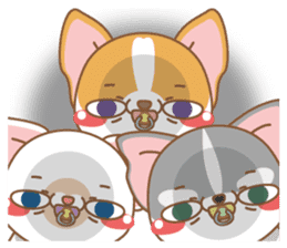 dog and cat are crazy sticker #11543242