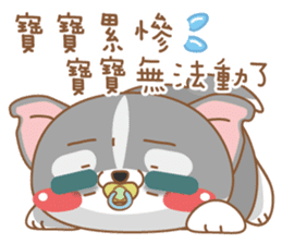 dog and cat are crazy sticker #11543270