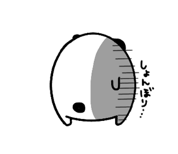 Panda-sanda sticker #11544103
