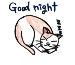 prtty cat sticker #11544249