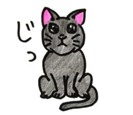 prtty cat sticker #11544264