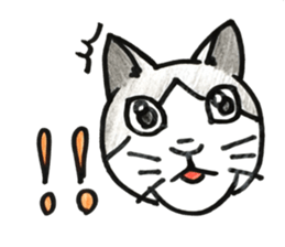 prtty cat sticker #11544281