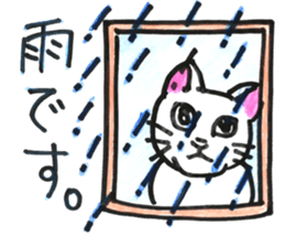 prtty cat sticker #11544284