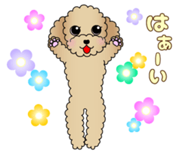 The Toy Poodle stickers 3 sticker #11544610
