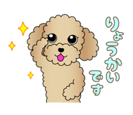 The Toy Poodle stickers 3 sticker #11544611