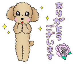 The Toy Poodle stickers 3 sticker #11544613
