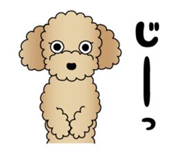 The Toy Poodle stickers 3 sticker #11544615
