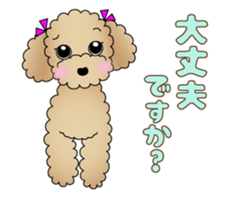 The Toy Poodle stickers 3 sticker #11544620