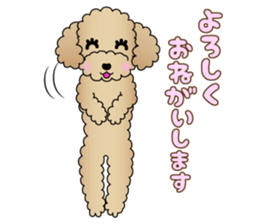 The Toy Poodle stickers 3 sticker #11544625