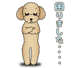 The Toy Poodle stickers 3 sticker #11544628