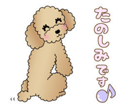 The Toy Poodle stickers 3 sticker #11544629