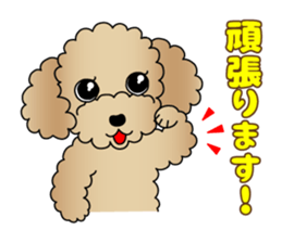 The Toy Poodle stickers 3 sticker #11544631