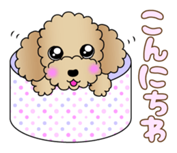 The Toy Poodle stickers 3 sticker #11544632